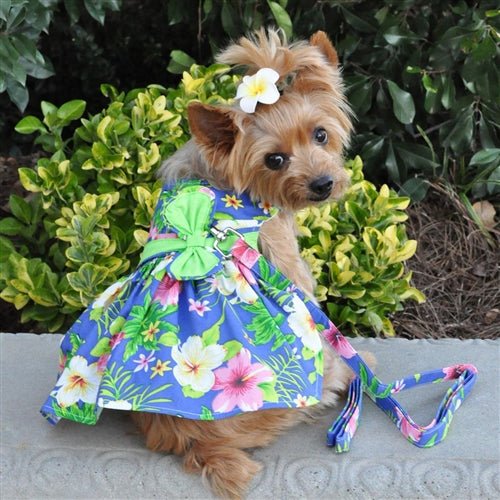 Blue Lagoon Hawaiian Hibiscus Dog Harness Dress with Matching Leash Set