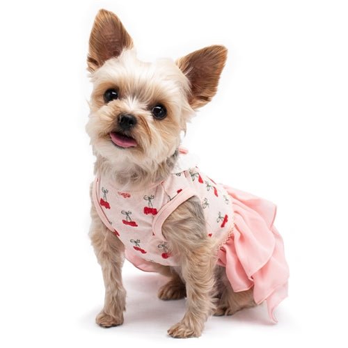 Adorable Pink Cherry Print Dog Dress Layered Skirt for Small Pets