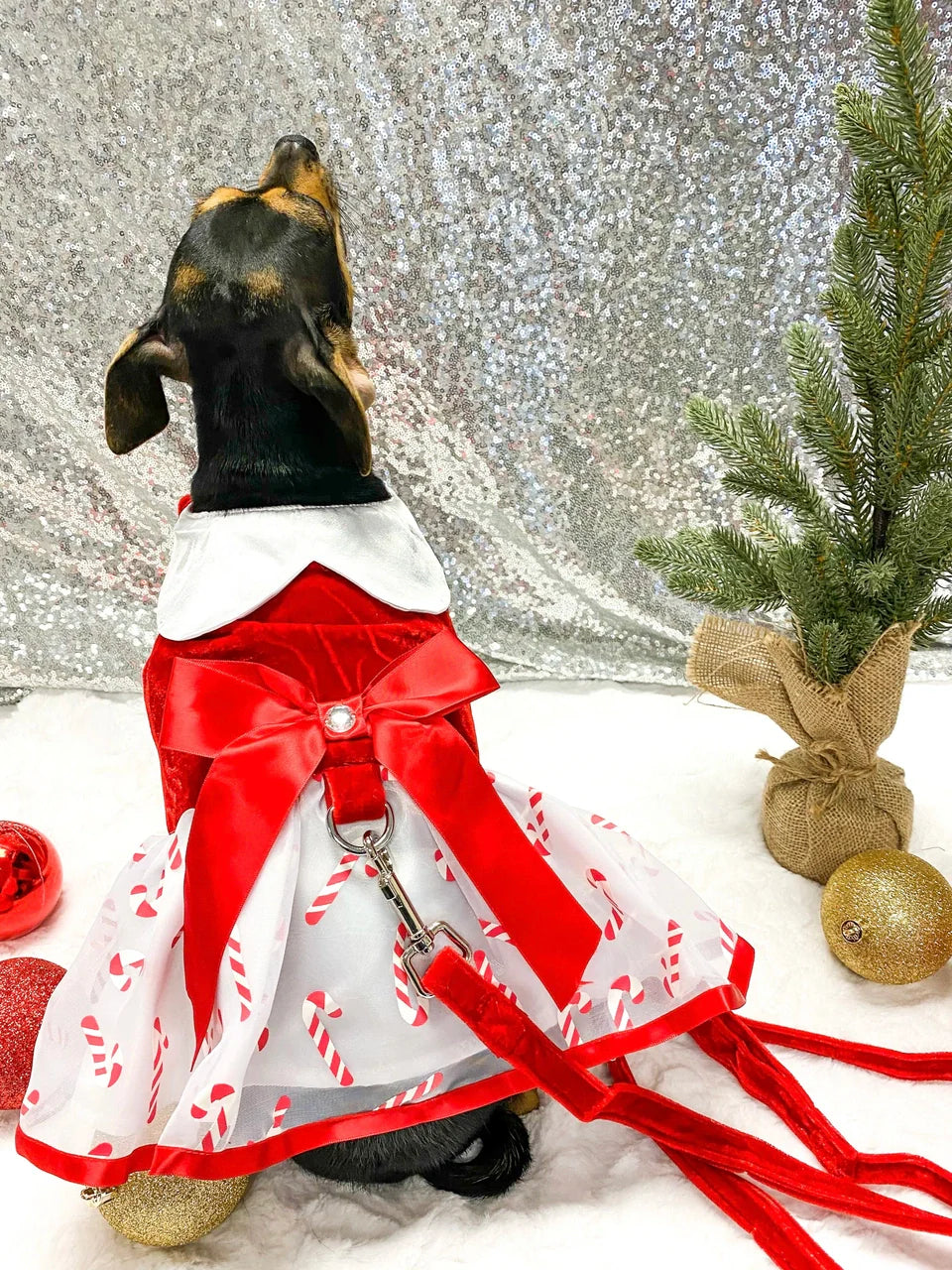 Festive Candy Cane Velvet Dog Harness Dress with Leash D-Ring