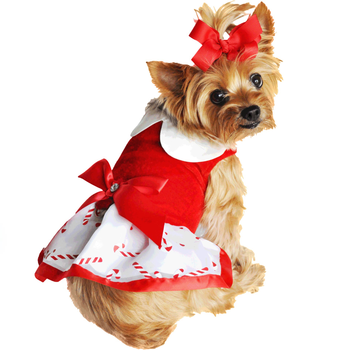 Festive Candy Cane Velvet Dog Harness Dress with Leash D-Ring