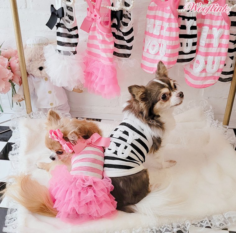 Elegant Pink Mesh Puppy Dog Tutu Dress for Summer Fun by Wooflink